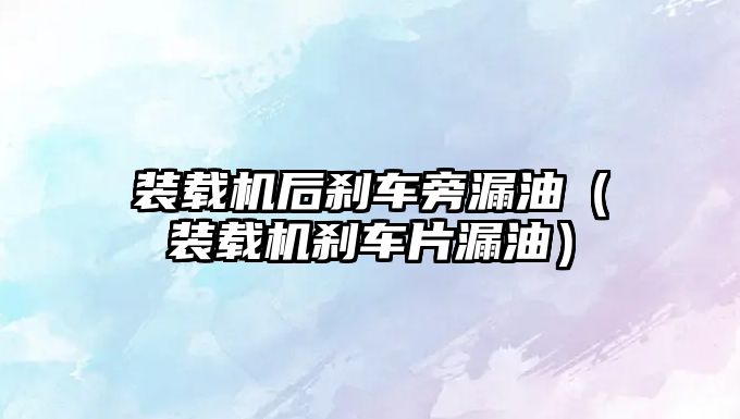 裝載機后剎車旁漏油（裝載機剎車片漏油）