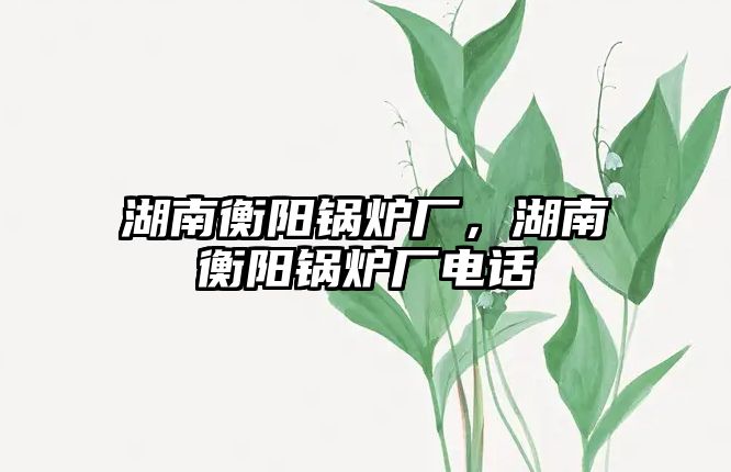 湖南衡陽鍋爐廠，湖南衡陽鍋爐廠電話