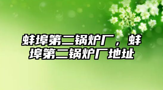 蚌埠第二鍋爐廠，蚌埠第二鍋爐廠地址