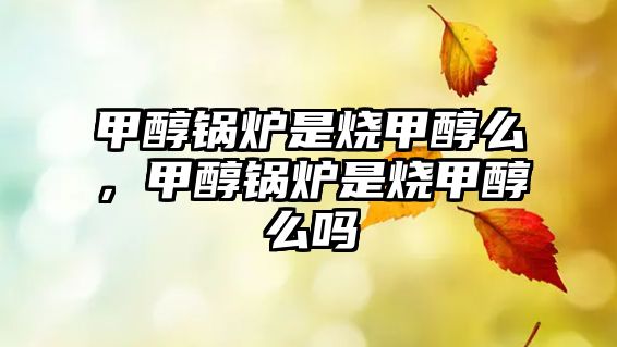 甲醇鍋爐是燒甲醇么，甲醇鍋爐是燒甲醇么嗎