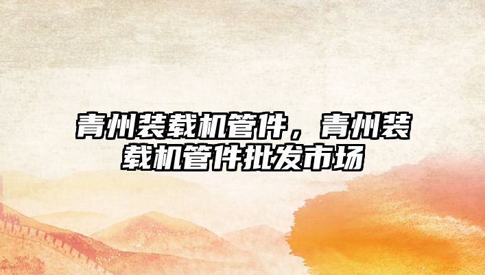 青州裝載機管件，青州裝載機管件批發(fā)市場