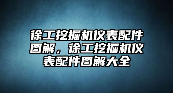 徐工挖掘機(jī)儀表配件圖解，徐工挖掘機(jī)儀表配件圖解大全