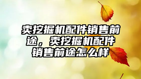 賣挖掘機配件銷售前途，賣挖掘機配件銷售前途怎么樣