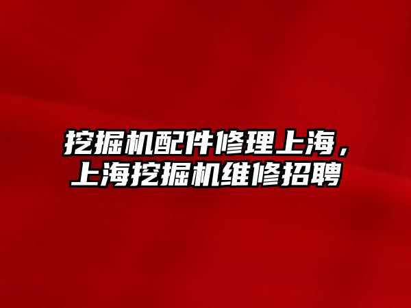 挖掘機配件修理上海，上海挖掘機維修招聘