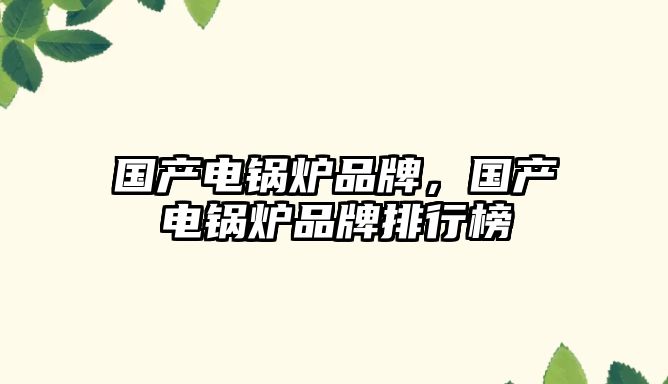 國產(chǎn)電鍋爐品牌，國產(chǎn)電鍋爐品牌排行榜