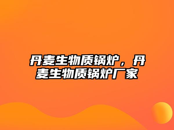 丹麥生物質(zhì)鍋爐，丹麥生物質(zhì)鍋爐廠家