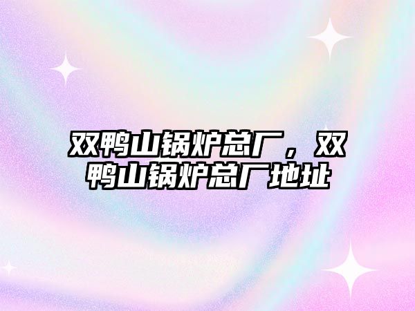 雙鴨山鍋爐總廠，雙鴨山鍋爐總廠地址