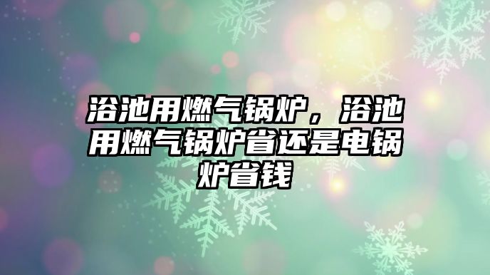 浴池用燃氣鍋爐，浴池用燃氣鍋爐省還是電鍋爐省錢