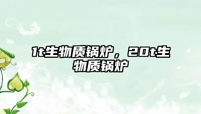 1t生物質(zhì)鍋爐，20t生物質(zhì)鍋爐