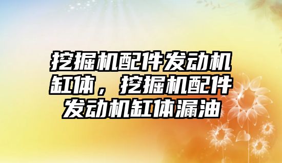 挖掘機(jī)配件發(fā)動(dòng)機(jī)缸體，挖掘機(jī)配件發(fā)動(dòng)機(jī)缸體漏油