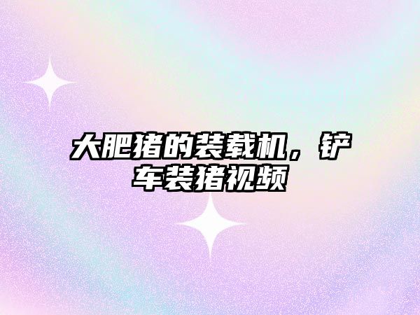 大肥豬的裝載機，鏟車裝豬視頻