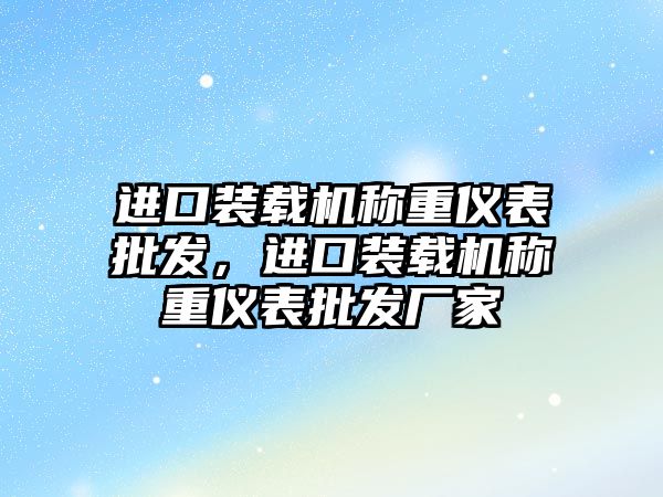 進口裝載機稱重儀表批發(fā)，進口裝載機稱重儀表批發(fā)廠家