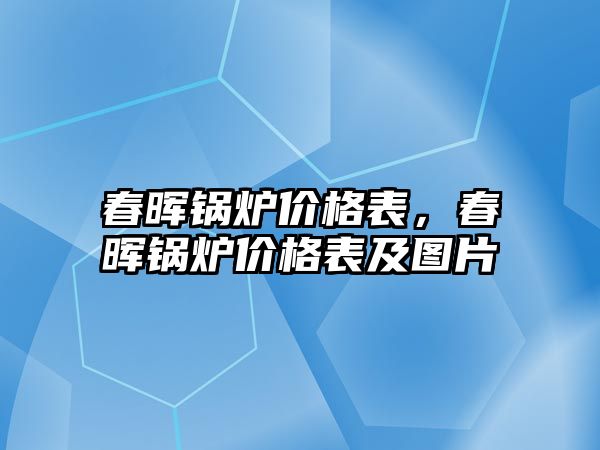 春暉鍋爐價格表，春暉鍋爐價格表及圖片