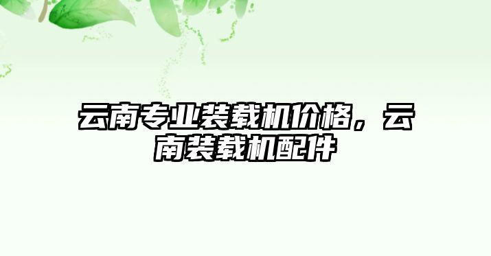 云南專業(yè)裝載機(jī)價(jià)格，云南裝載機(jī)配件