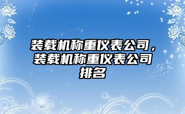 裝載機(jī)稱重儀表公司，裝載機(jī)稱重儀表公司排名