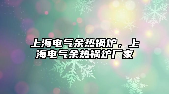上海電氣余熱鍋爐，上海電氣余熱鍋爐廠家