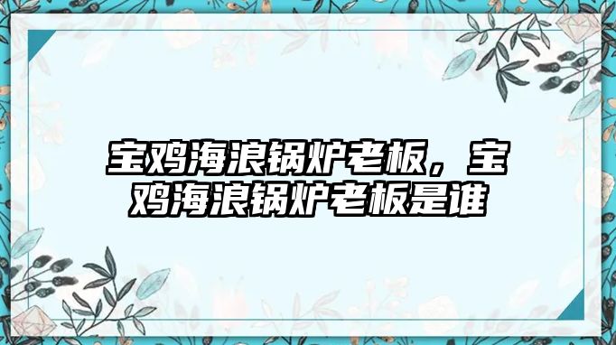寶雞海浪鍋爐老板，寶雞海浪鍋爐老板是誰