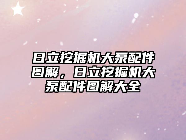 日立挖掘機(jī)大泵配件圖解，日立挖掘機(jī)大泵配件圖解大全
