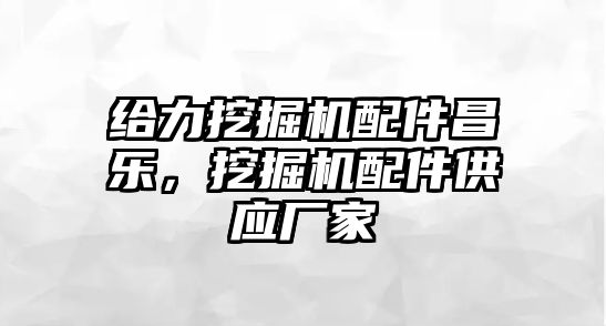 給力挖掘機(jī)配件昌樂(lè)，挖掘機(jī)配件供應(yīng)廠家