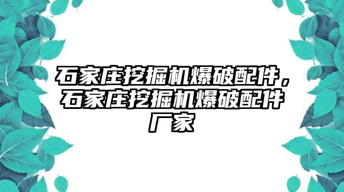 石家莊挖掘機(jī)爆破配件，石家莊挖掘機(jī)爆破配件廠家
