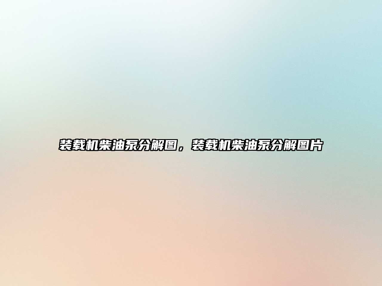 裝載機(jī)柴油泵分解圖，裝載機(jī)柴油泵分解圖片