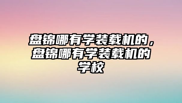 盤錦哪有學(xué)裝載機的，盤錦哪有學(xué)裝載機的學(xué)校