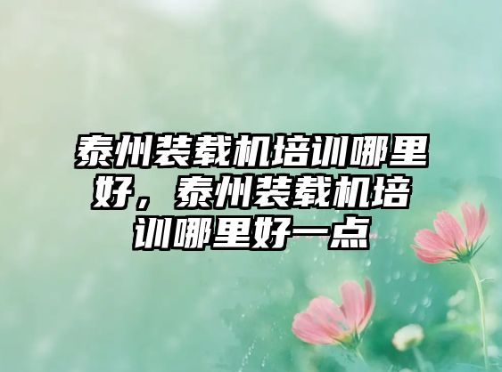 泰州裝載機(jī)培訓(xùn)哪里好，泰州裝載機(jī)培訓(xùn)哪里好一點(diǎn)