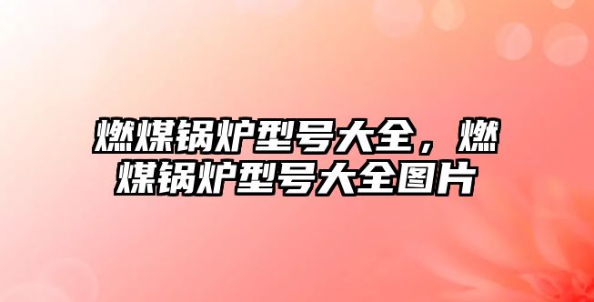 燃煤鍋爐型號(hào)大全，燃煤鍋爐型號(hào)大全圖片