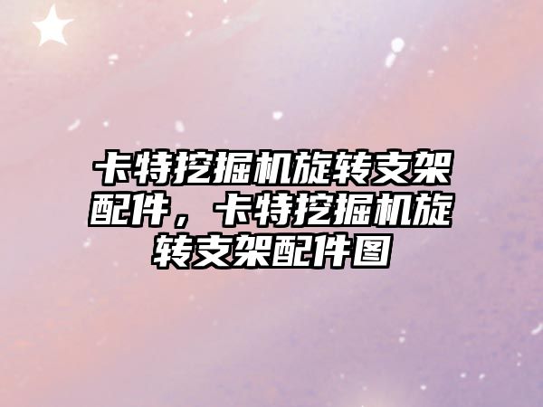 卡特挖掘機(jī)旋轉(zhuǎn)支架配件，卡特挖掘機(jī)旋轉(zhuǎn)支架配件圖