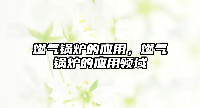 燃氣鍋爐的應用，燃氣鍋爐的應用領域