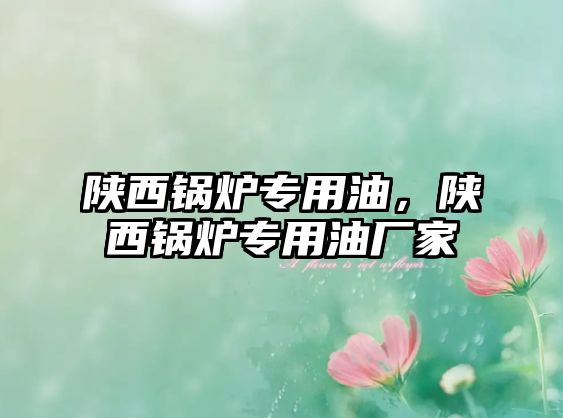 陜西鍋爐專用油，陜西鍋爐專用油廠家