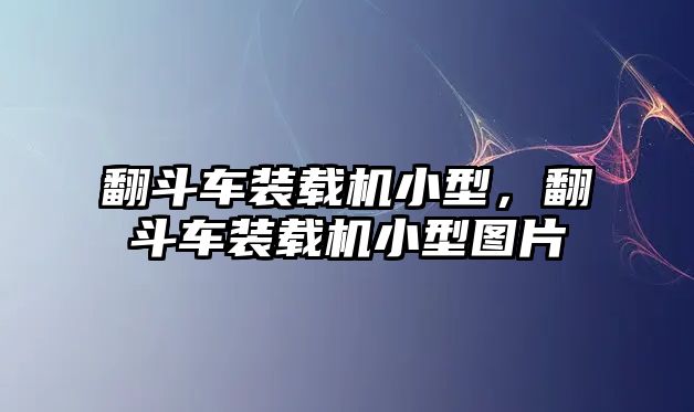 翻斗車裝載機(jī)小型，翻斗車裝載機(jī)小型圖片