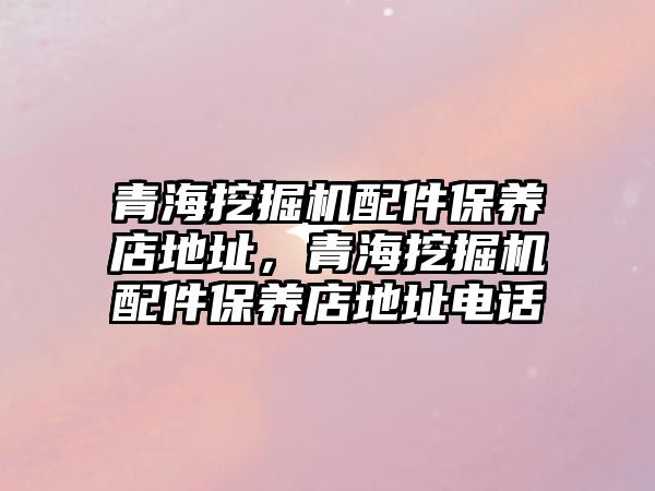 青海挖掘機(jī)配件保養(yǎng)店地址，青海挖掘機(jī)配件保養(yǎng)店地址電話
