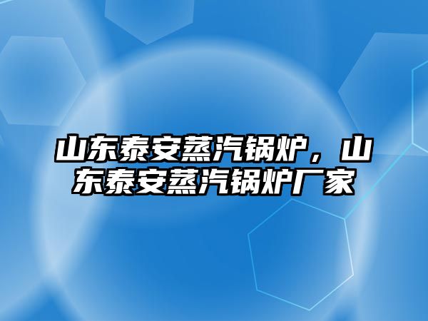 山東泰安蒸汽鍋爐，山東泰安蒸汽鍋爐廠家
