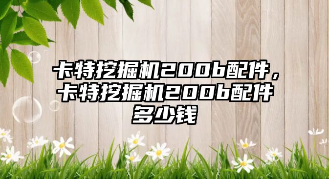 卡特挖掘機200b配件，卡特挖掘機200b配件多少錢