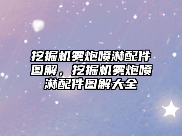 挖掘機(jī)霧炮噴淋配件圖解，挖掘機(jī)霧炮噴淋配件圖解大全