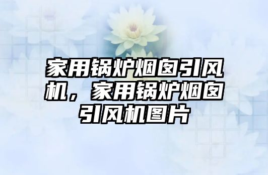 家用鍋爐煙囪引風(fēng)機(jī)，家用鍋爐煙囪引風(fēng)機(jī)圖片