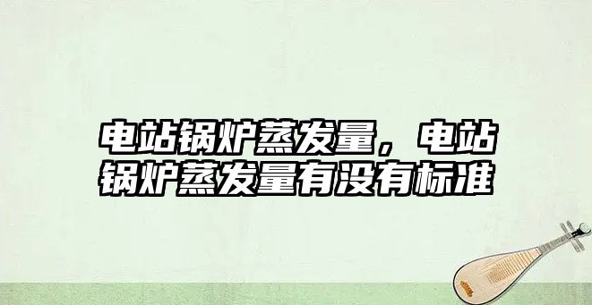 電站鍋爐蒸發(fā)量，電站鍋爐蒸發(fā)量有沒有標(biāo)準(zhǔn)