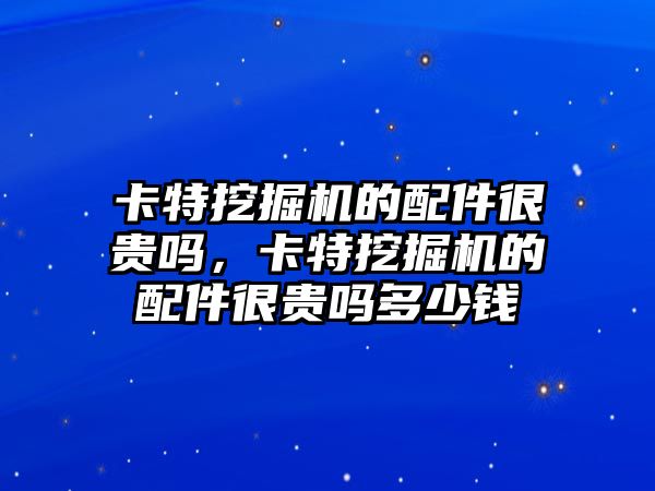 卡特挖掘機的配件很貴嗎，卡特挖掘機的配件很貴嗎多少錢