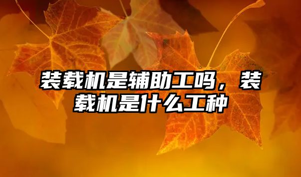 裝載機(jī)是輔助工嗎，裝載機(jī)是什么工種