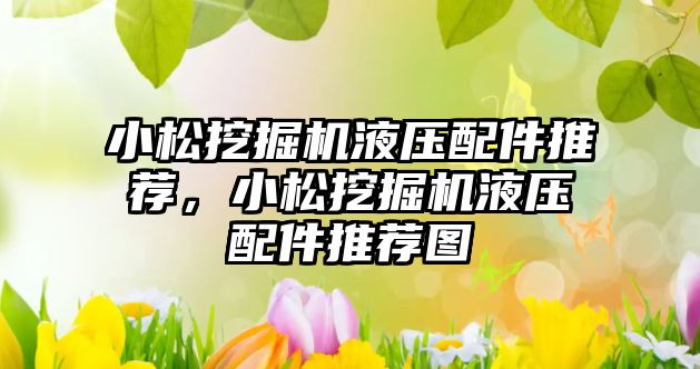 小松挖掘機液壓配件推薦，小松挖掘機液壓配件推薦圖