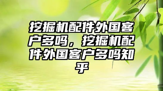 挖掘機(jī)配件外國(guó)客戶多嗎，挖掘機(jī)配件外國(guó)客戶多嗎知乎