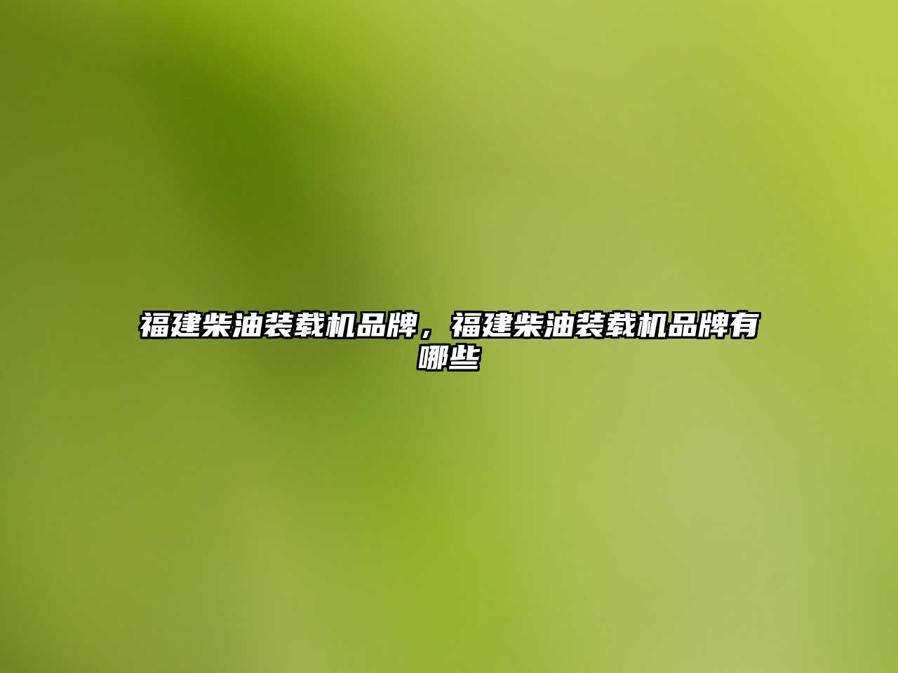 福建柴油裝載機(jī)品牌，福建柴油裝載機(jī)品牌有哪些