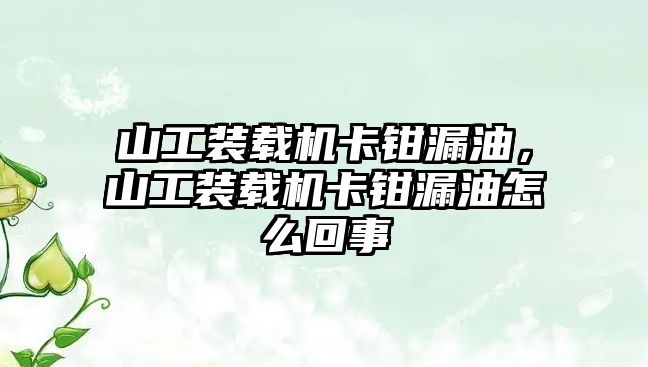 山工裝載機(jī)卡鉗漏油，山工裝載機(jī)卡鉗漏油怎么回事