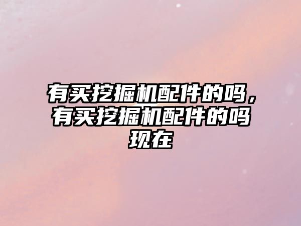 有買挖掘機(jī)配件的嗎，有買挖掘機(jī)配件的嗎現(xiàn)在
