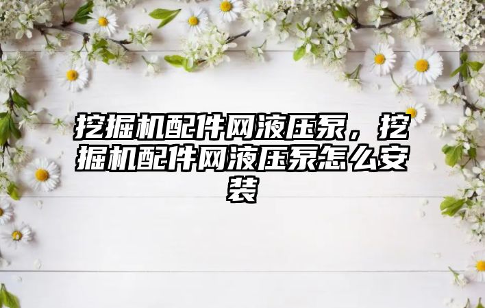 挖掘機(jī)配件網(wǎng)液壓泵，挖掘機(jī)配件網(wǎng)液壓泵怎么安裝
