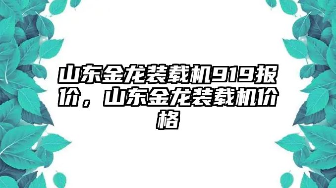 山東金龍裝載機(jī)919報(bào)價(jià)，山東金龍裝載機(jī)價(jià)格