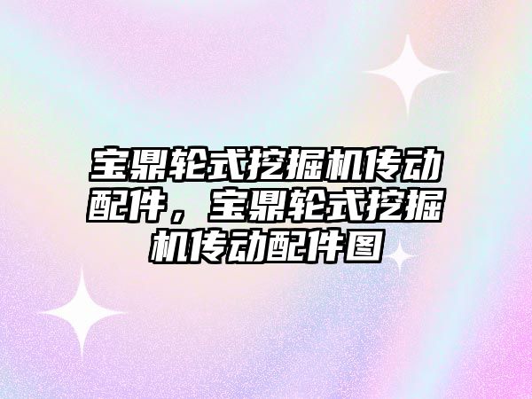 寶鼎輪式挖掘機傳動配件，寶鼎輪式挖掘機傳動配件圖