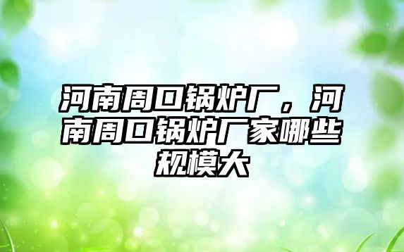 河南周口鍋爐廠，河南周口鍋爐廠家哪些規(guī)模大