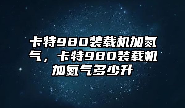 卡特980裝載機加氮氣，卡特980裝載機加氮氣多少升
